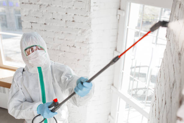 Best Asbestos and Lead Testing During Mold Inspection  in White Knoll, SC