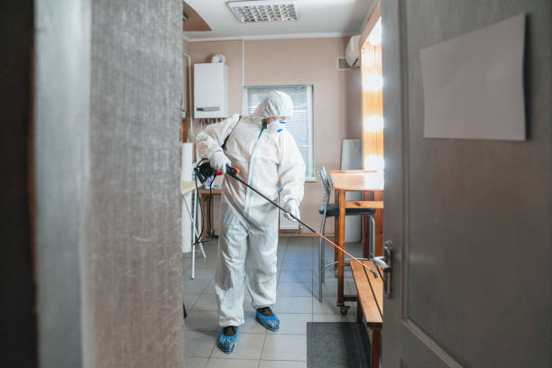 Mold Remediation for Vacation Homes in White Knoll, SC