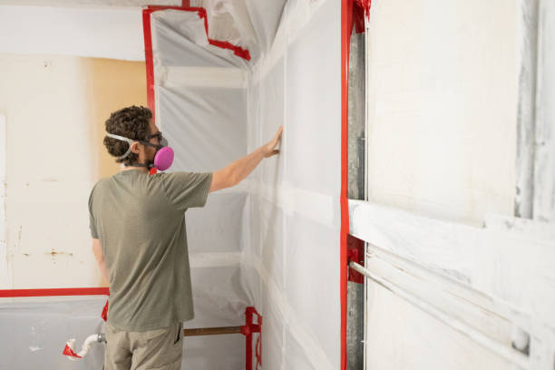 Reliable White Knoll, SC Mold Removal Solutions