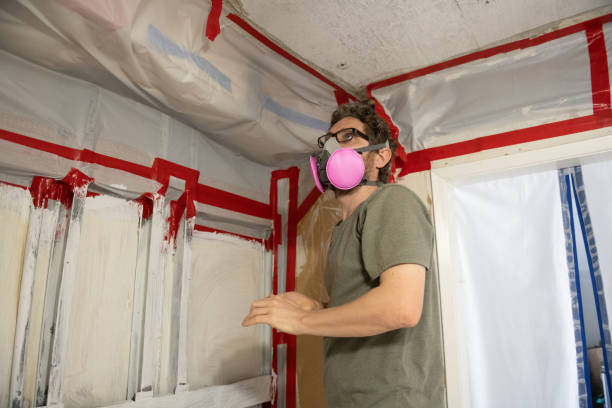 Environmental Consulting for Mold Prevention in White Knoll, SC