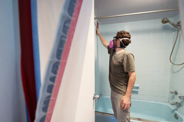  White Knoll, SC Mold Removal Pros